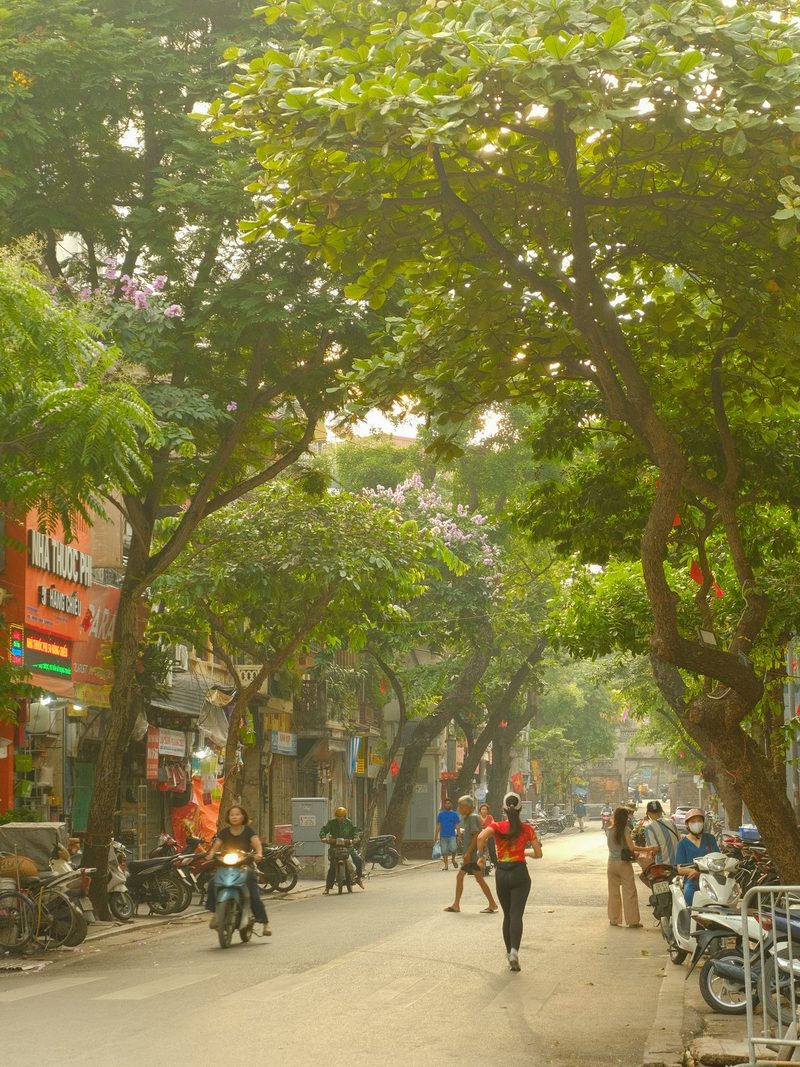 A street in a city with trees and shops, with people walking and riding motorbikes.