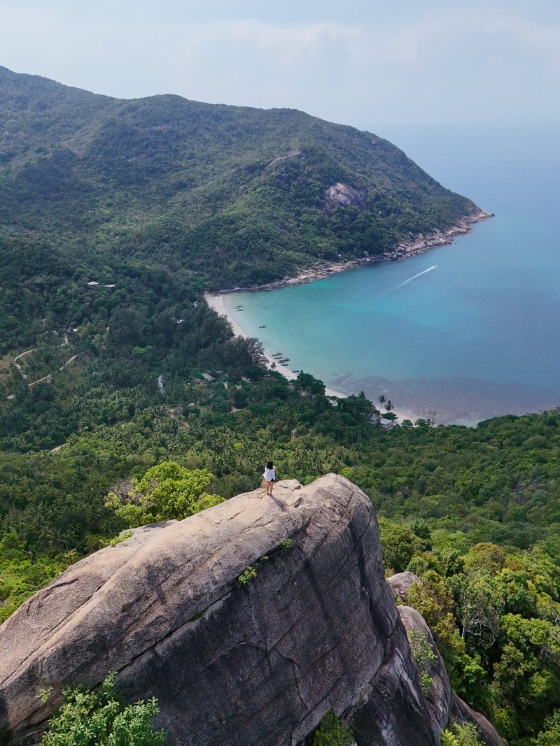 A woman stands on a large rock overlooking a forested area, a body of water, and a mountainous landscape.