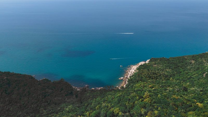 A serene landscape featuring a body of water, a shoreline, and a lush forested area.