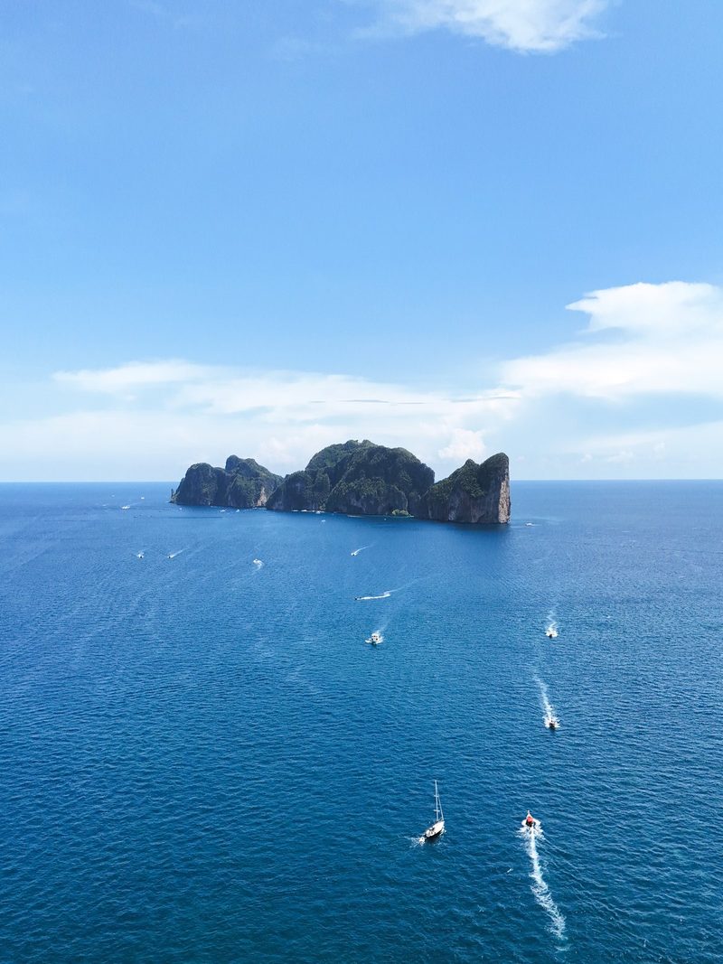 A large body of water with a prominent island in the center, surrounded by numerous boats of varying sizes.