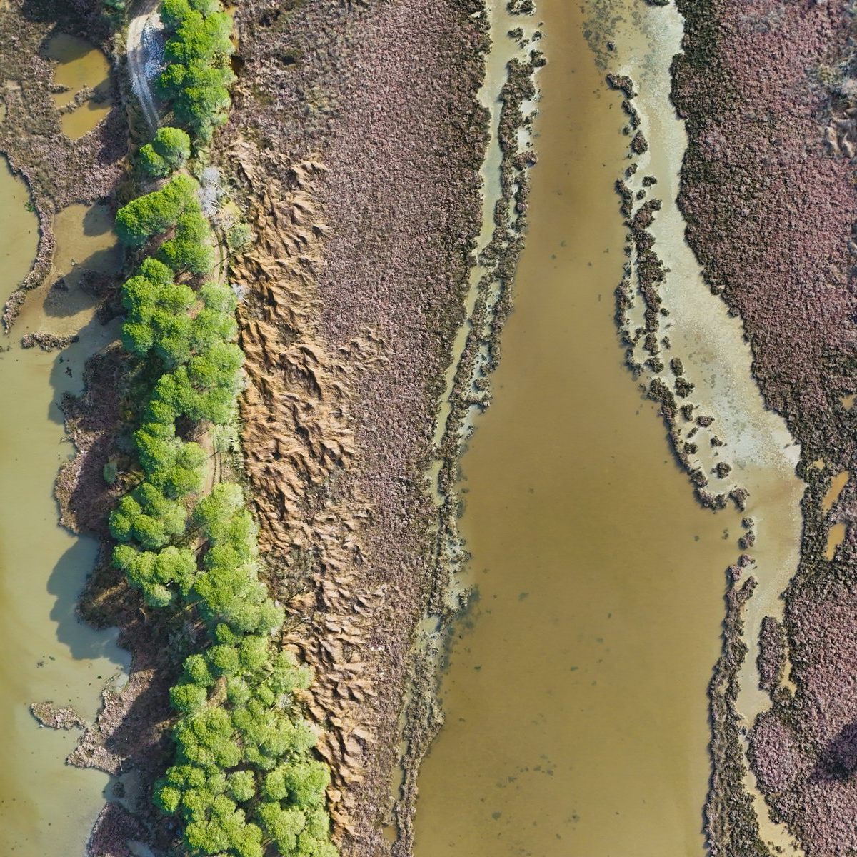 Karavasta Lagoon, Albania