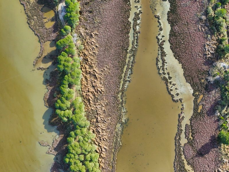 Aerial view of a river with a muddy brown color, featuring a narrow strip of green vegetation on the left and a rocky shoreline on the right.