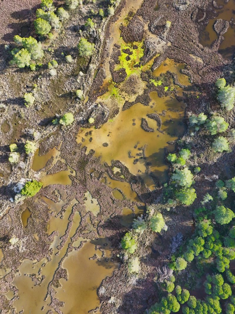 Aerial view of a landscape with a mix of water, mud, and vegetation.