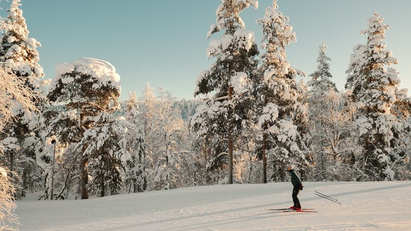 A lone skier navigates a snowy trail, surrounded by towering trees covered in a thick layer of snow.