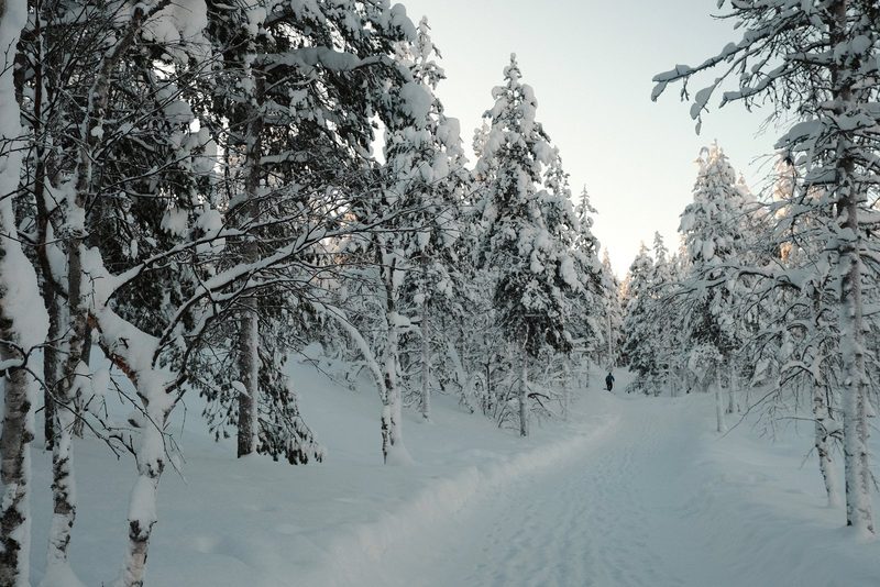 A snow-covered forest path stretches out, flanked by trees and a lone figure in the distance.