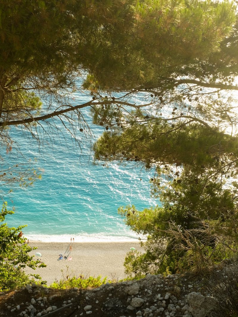 A serene beach scene, framed by lush greenery, features a sandy shore and a vibrant blue sea, with people enjoying the water and sun.