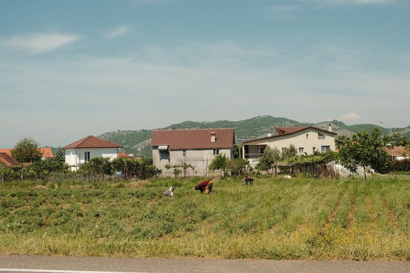 A rural landscape with a field, houses, and mountains in the background.