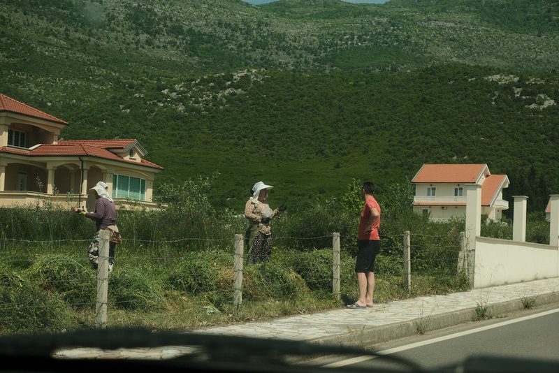 A man in a red shirt and black shorts stands on a sidewalk, watching two women in headscarves working in a field behind a fence.