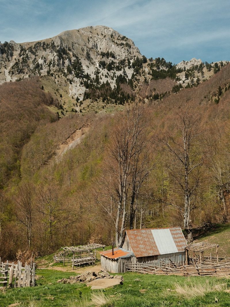 A rustic barn in a mountainous area with a forest in the background.