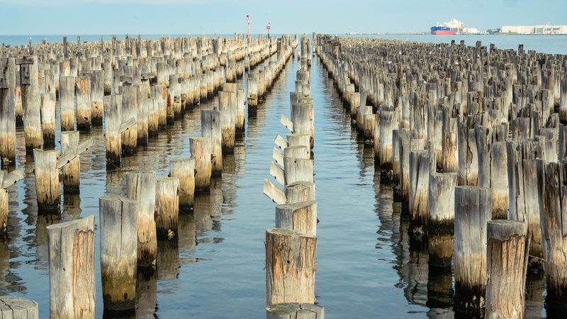A long row of weathered wooden pilings in the water, with a large ship in the background.