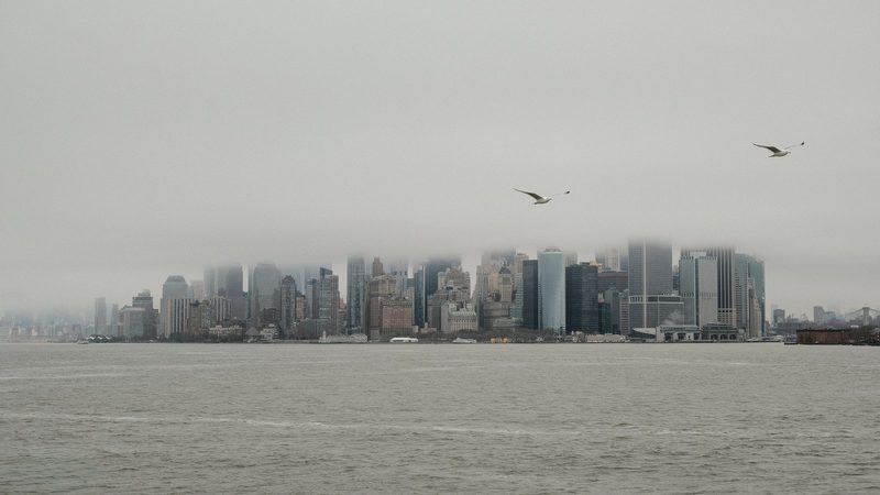 A city skyline with skyscrapers and a body of water in the foreground, with seagulls flying in the sky.