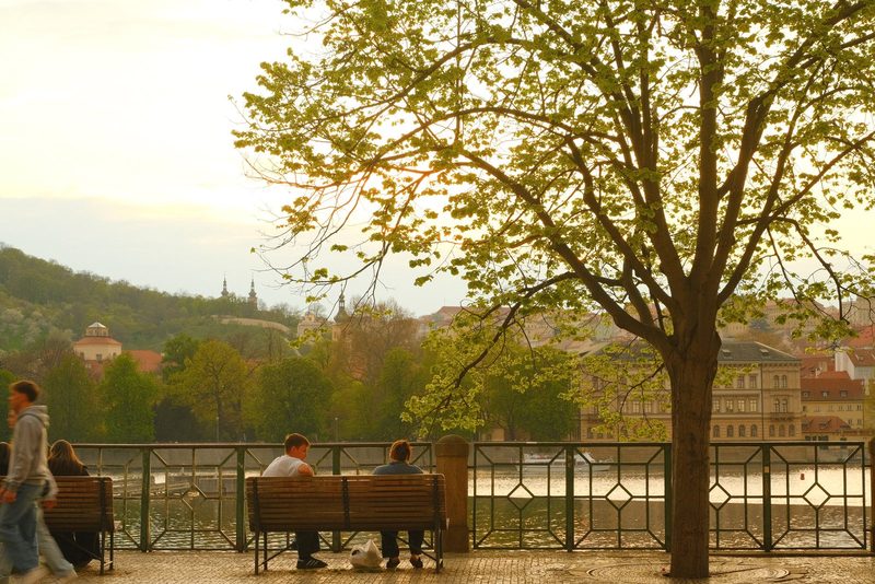 A serene scene of a couple sitting on a bench by a river, with a tree in the foreground and a cityscape in the background.