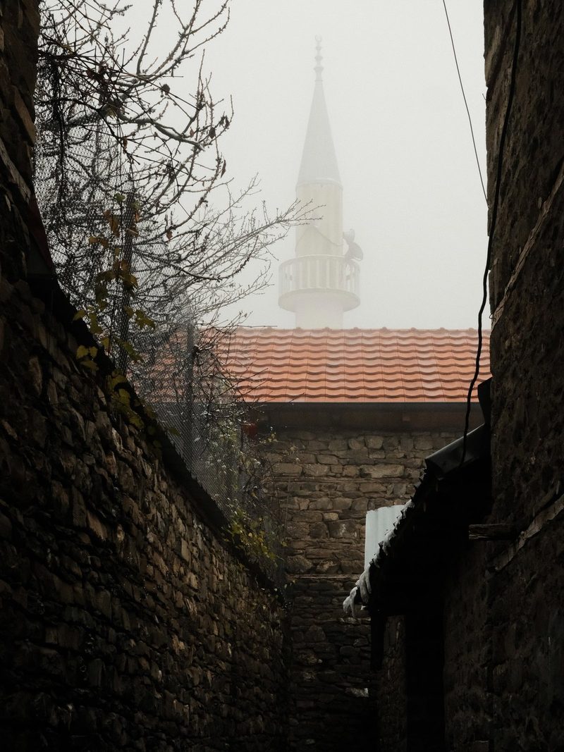 A stone wall and a building with a red roof and a tall spire are visible in the distance, shrouded in fog.