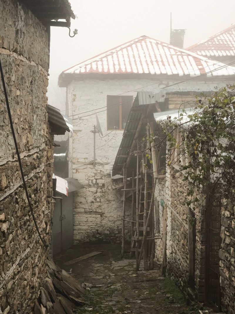 A narrow, stone-paved alleyway runs between two stone buildings, with a wooden ladder leaning against one wall and a vine-covered wall on the right.