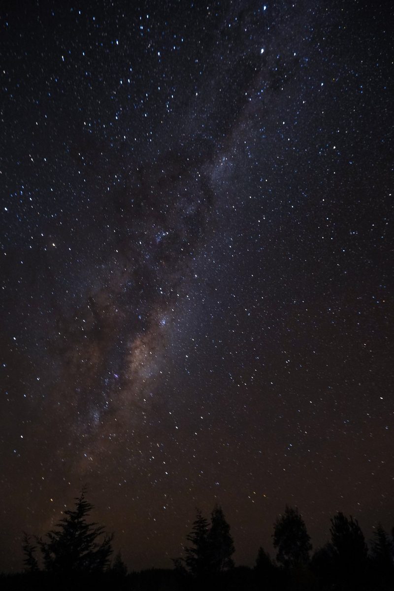 A starry night sky with a silhouette of trees at the bottom.
