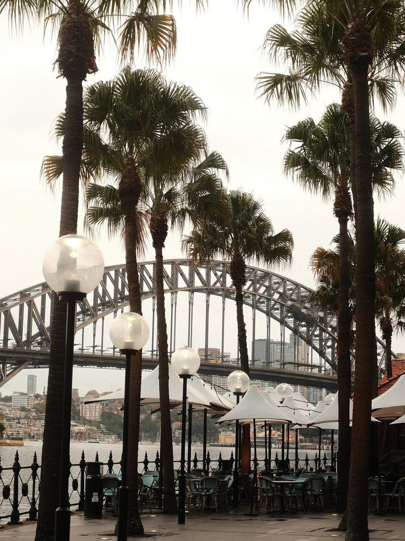 A row of palm trees lines a walkway, with a bridge and a body of water in the background, and a row of tables and chairs with umbrellas in the foreground.