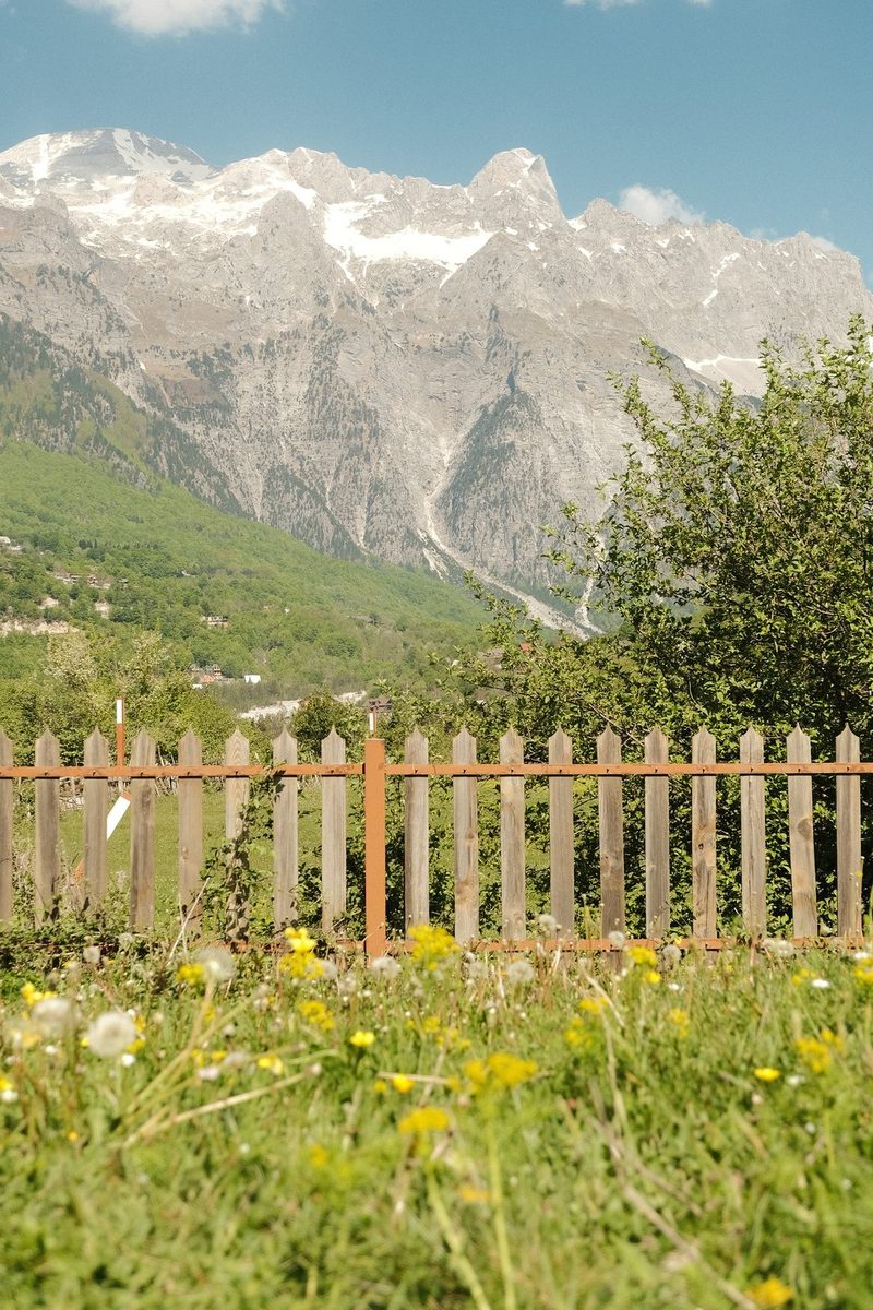 A mountainous landscape with a wooden fence and wildflowers in the foreground.