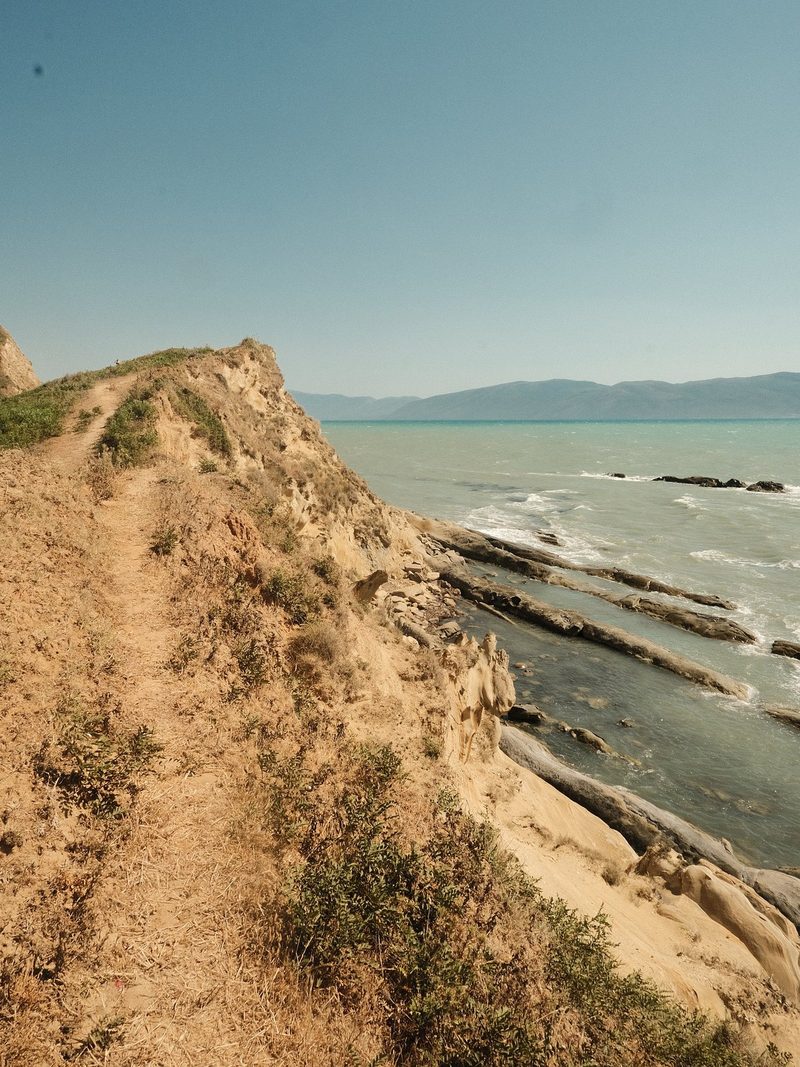 A rocky cliffside overlooks a body of water with a few logs floating in it.