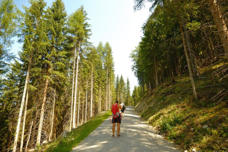 Two people walk along a gravel path in a forest, surrounded by tall trees and a clear blue sky.