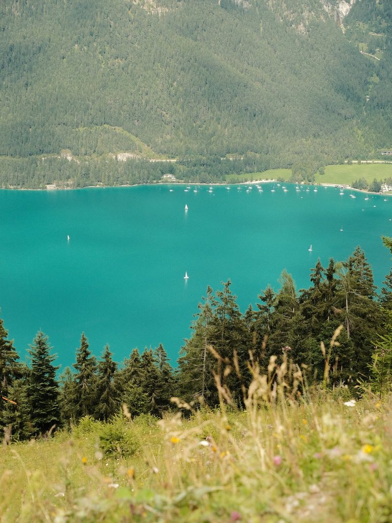 A serene landscape featuring a large body of water, surrounded by lush greenery and dotted with small boats.
