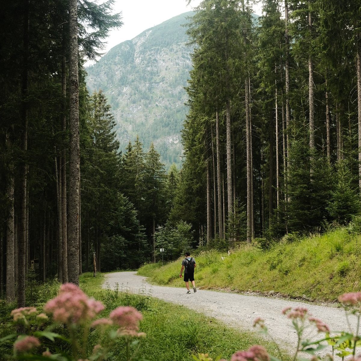 Zwölferkopf, Austria